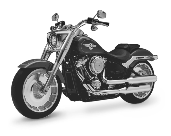 HARLEY-DAVIDSON 100th ANNIVERSARY EDITION